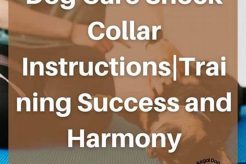 Dog Training Collars: A Guide to Proper Use My Caring Dog – Tips, Stories, and Care Guides for Loving Pet Owners Dog Training Collars: A Guide to Proper Use | My Caring Dog – Tips, Stories, and Care Guides for Loving Pet Owners