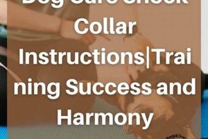 Dog Training Collars: A Guide to Proper Use My Caring Dog – Tips, Stories, and Care Guides for Loving Pet Owners Dog Training Collars: A Guide to Proper Use | My Caring Dog – Tips, Stories, and Care Guides for Loving Pet Owners