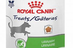 Urinary Care Dog Food Petsmart My Caring Dog – Tips, Stories, and Care Guides for Loving Pet Owners Urinary Care Dog Food Petsmart | My Caring Dog – Tips, Stories, and Care Guides for Loving Pet Owners