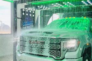 Top Dog Express: Car & Pet Wash Near You My Caring Dog – Tips, Stories, and Care Guides for Loving Pet Owners Top Dog Express: Car & Pet Wash Near You | My Caring Dog – Tips, Stories, and Care Guides for Loving Pet Owners