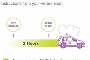 Best Cerenia for Dog Car Sickness Relief My Caring Dog – Tips, Stories, and Care Guides for Loving Pet Owners Best Cerenia for Dog Car Sickness Relief | My Caring Dog – Tips, Stories, and Care Guides for Loving Pet Owners