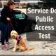 Service Dog Public Access Test | My Caring Dog – Tips, Stories, and Care Guides for Loving Pet Owners