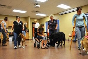 Complete Guide to Training Therapy Dogs: Expert Tips My Caring Dog – Tips, Stories, and Care Guides for Loving Pet Owners Complete Guide to Training Therapy Dogs: Expert Tips | My Caring Dog – Tips, Stories, and Care Guides for Loving Pet Owners