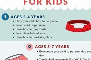 Teen Dog Care: Tips & Advice for Young Owners My Caring Dog – Tips, Stories, and Care Guides for Loving Pet Owners Teen Dog Care: Tips & Advice for Young Owners | My Caring Dog – Tips, Stories, and Care Guides for Loving Pet Owners