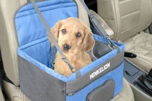 Top Henkelion Dog Car Seats for Safe Travels My Caring Dog – Tips, Stories, and Care Guides for Loving Pet Owners Top Henkelion Dog Car Seats for Safe Travels | My Caring Dog – Tips, Stories, and Care Guides for Loving Pet Owners