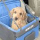 Top Henkelion Dog Car Seats for Safe Travels | My Caring Dog – Tips, Stories, and Care Guides for Loving Pet Owners