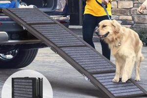 Best Foldable Car Ramps for Dogs: Easy Access My Caring Dog – Tips, Stories, and Care Guides for Loving Pet Owners Best Foldable Car Ramps for Dogs: Easy Access | My Caring Dog – Tips, Stories, and Care Guides for Loving Pet Owners
