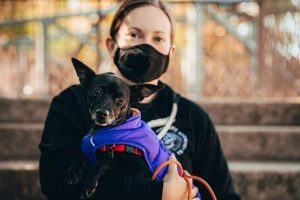 Best Pet Rescue in San Antonio, TX | Adopt a Dog My Caring Dog – Tips, Stories, and Care Guides for Loving Pet Owners Best Pet Rescue in San Antonio, TX | Adopt a Dog | My Caring Dog – Tips, Stories, and Care Guides for Loving Pet Owners