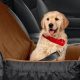 Best Car Dog Beds with Harness for Safe Travels | My Caring Dog – Tips, Stories, and Care Guides for Loving Pet Owners