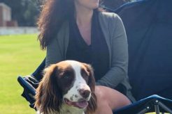 Best Dog Day Care in Hereford | Top Centers My Caring Dog – Tips, Stories, and Care Guides for Loving Pet Owners Best Dog Day Care in Hereford | Top Centers | My Caring Dog – Tips, Stories, and Care Guides for Loving Pet Owners