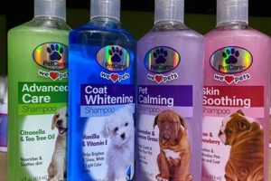 Best Pet Care Dog Shampoo for a Healthy Coat My Caring Dog – Tips, Stories, and Care Guides for Loving Pet Owners Best Pet Care Dog Shampoo for a Healthy Coat | My Caring Dog – Tips, Stories, and Care Guides for Loving Pet Owners