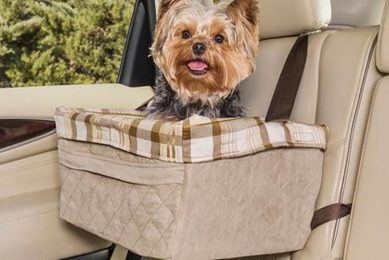 Top Solvit Dog Car Seats: Safety & Comfort My Caring Dog – Tips, Stories, and Care Guides for Loving Pet Owners Top Solvit Dog Car Seats: Safety & Comfort | My Caring Dog – Tips, Stories, and Care Guides for Loving Pet Owners