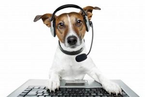 Trained Customer Service Dogs: A Business Asset My Caring Dog – Tips, Stories, and Care Guides for Loving Pet Owners Trained Customer Service Dogs: A Business Asset | My Caring Dog – Tips, Stories, and Care Guides for Loving Pet Owners