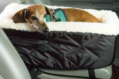 Best Large Console Dog Car Seats for Safe Travels My Caring Dog – Tips, Stories, and Care Guides for Loving Pet Owners Best Large Console Dog Car Seats for Safe Travels | My Caring Dog – Tips, Stories, and Care Guides for Loving Pet Owners