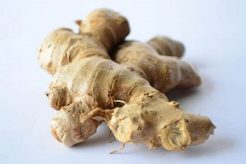Best Ginger Dog Treats for Car Sickness Relief My Caring Dog – Tips, Stories, and Care Guides for Loving Pet Owners Best Ginger Dog Treats for Car Sickness Relief | My Caring Dog – Tips, Stories, and Care Guides for Loving Pet Owners