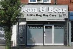 Top-Rated Bean & Bear Dog Day Care Services My Caring Dog – Tips, Stories, and Care Guides for Loving Pet Owners Top-Rated Bean & Bear Dog Day Care Services | My Caring Dog – Tips, Stories, and Care Guides for Loving Pet Owners