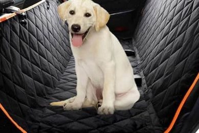 Best Dog Blanket Car Seat Covers for Pet Travel My Caring Dog – Tips, Stories, and Care Guides for Loving Pet Owners Best Dog Blanket Car Seat Covers for Pet Travel | My Caring Dog – Tips, Stories, and Care Guides for Loving Pet Owners