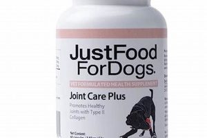 Best Dog Food For Joint Care My Caring Dog – Tips, Stories, and Care Guides for Loving Pet Owners Best Dog Food For Joint Care | My Caring Dog – Tips, Stories, and Care Guides for Loving Pet Owners