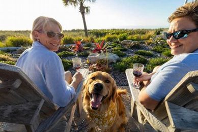 Best Car Accessories for Dog People in Los Angeles My Caring Dog – Tips, Stories, and Care Guides for Loving Pet Owners Best Car Accessories for Dog People in Los Angeles | My Caring Dog – Tips, Stories, and Care Guides for Loving Pet Owners