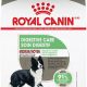 Royal Canin Digestive Care Dry Dog Food | My Caring Dog – Tips, Stories, and Care Guides for Loving Pet Owners
