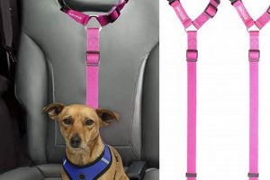 Best Dog Restraint Car Accessories & Gear My Caring Dog – Tips, Stories, and Care Guides for Loving Pet Owners Best Dog Restraint Car Accessories & Gear | My Caring Dog – Tips, Stories, and Care Guides for Loving Pet Owners
