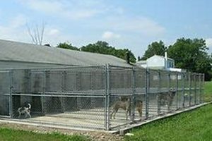 Top Dog Day Care in Flemington NJ: Best Options My Caring Dog – Tips, Stories, and Care Guides for Loving Pet Owners Top Dog Day Care in Flemington NJ: Best Options | My Caring Dog – Tips, Stories, and Care Guides for Loving Pet Owners