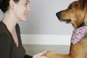 Top Mel's Dog Care Services | Dog Walking & More My Caring Dog – Tips, Stories, and Care Guides for Loving Pet Owners Top Mel's Dog Care Services | Dog Walking & More | My Caring Dog – Tips, Stories, and Care Guides for Loving Pet Owners