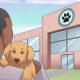 Rehome Your Car Dog Puppy: Find a Loving Home | My Caring Dog – Tips, Stories, and Care Guides for Loving Pet Owners