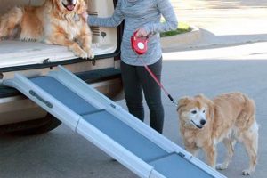 Best Folding Car Dog Ramps for SUVs My Caring Dog – Tips, Stories, and Care Guides for Loving Pet Owners Best Folding Car Dog Ramps for SUVs | My Caring Dog – Tips, Stories, and Care Guides for Loving Pet Owners
