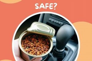 Can I Leave Dry Dog Food In A Hot Car My Caring Dog – Tips, Stories, and Care Guides for Loving Pet Owners Can I Leave Dry Dog Food In A Hot Car | My Caring Dog – Tips, Stories, and Care Guides for Loving Pet Owners