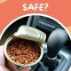 Can I Leave Dry Dog Food In A Hot Car | My Caring Dog – Tips, Stories, and Care Guides for Loving Pet Owners