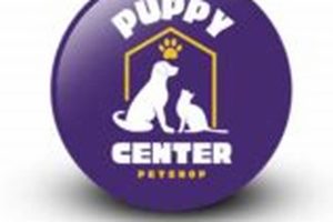 Best Puppy Centers for Your Car Dog My Caring Dog – Tips, Stories, and Care Guides for Loving Pet Owners Best Puppy Centers for Your Car Dog | My Caring Dog – Tips, Stories, and Care Guides for Loving Pet Owners