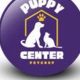 Best Puppy Centers for Your Car Dog | My Caring Dog – Tips, Stories, and Care Guides for Loving Pet Owners
