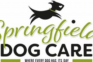 Best Dog Day Care in Springfield OH: Top Choices My Caring Dog – Tips, Stories, and Care Guides for Loving Pet Owners Best Dog Day Care in Springfield OH: Top Choices | My Caring Dog – Tips, Stories, and Care Guides for Loving Pet Owners