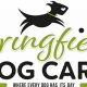 Best Dog Day Care in Springfield OH: Top Choices | My Caring Dog – Tips, Stories, and Care Guides for Loving Pet Owners