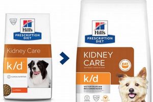 Hills Kidney Care Dog Food My Caring Dog – Tips, Stories, and Care Guides for Loving Pet Owners Hills Kidney Care Dog Food | My Caring Dog – Tips, Stories, and Care Guides for Loving Pet Owners