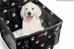 Top Bygd Dog Car Seats: Safe & Comfy My Caring Dog – Tips, Stories, and Care Guides for Loving Pet Owners Top Bygd Dog Car Seats: Safe & Comfy | My Caring Dog – Tips, Stories, and Care Guides for Loving Pet Owners