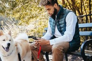 Dog Related Websites My Caring Dog – Tips, Stories, and Care Guides for Loving Pet Owners Dog Related Websites | My Caring Dog – Tips, Stories, and Care Guides for Loving Pet Owners