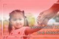 Complete Guide to Dog Adoption Care My Caring Dog – Tips, Stories, and Care Guides for Loving Pet Owners Complete Guide to Dog Adoption Care | My Caring Dog – Tips, Stories, and Care Guides for Loving Pet Owners