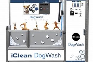 Best Super Suds Car & Dog Wash Services My Caring Dog – Tips, Stories, and Care Guides for Loving Pet Owners Best Super Suds Car & Dog Wash Services | My Caring Dog – Tips, Stories, and Care Guides for Loving Pet Owners