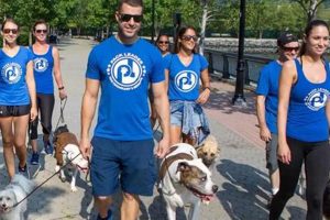 Pro Pack Leader Dog Care & Training My Caring Dog – Tips, Stories, and Care Guides for Loving Pet Owners Pro Pack Leader Dog Care & Training | My Caring Dog – Tips, Stories, and Care Guides for Loving Pet Owners
