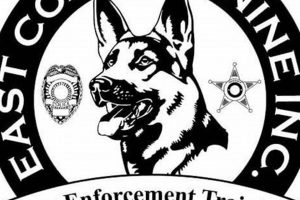 Best Car Accessories for East Coast Canines My Caring Dog – Tips, Stories, and Care Guides for Loving Pet Owners Best Car Accessories for East Coast Canines | My Caring Dog – Tips, Stories, and Care Guides for Loving Pet Owners