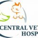 Top Central Vet Northeast: Car Dog Care | My Caring Dog – Tips, Stories, and Care Guides for Loving Pet Owners
