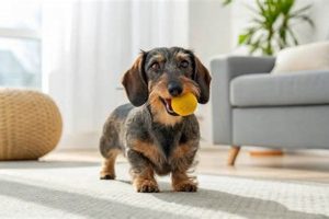 Essential Postpartum Dog Care Guide My Caring Dog – Tips, Stories, and Care Guides for Loving Pet Owners Essential Postpartum Dog Care Guide | My Caring Dog – Tips, Stories, and Care Guides for Loving Pet Owners