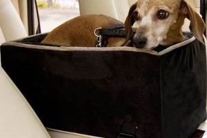 Best Dog Car Seats at Walmart: Safe & Secure My Caring Dog – Tips, Stories, and Care Guides for Loving Pet Owners Best Dog Car Seats at Walmart: Safe & Secure | My Caring Dog – Tips, Stories, and Care Guides for Loving Pet Owners