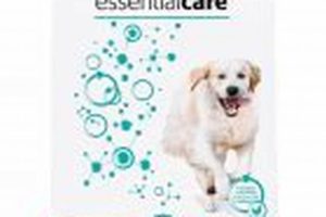 Essential Care Dog Food My Caring Dog – Tips, Stories, and Care Guides for Loving Pet Owners Essential Care Dog Food | My Caring Dog – Tips, Stories, and Care Guides for Loving Pet Owners