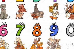 Car Dog ID Numbers: Tracking & Management My Caring Dog – Tips, Stories, and Care Guides for Loving Pet Owners Car Dog ID Numbers: Tracking & Management | My Caring Dog – Tips, Stories, and Care Guides for Loving Pet Owners