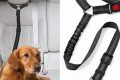Best Dog Car Safety Seat Belts & Harnesses My Caring Dog – Tips, Stories, and Care Guides for Loving Pet Owners Best Dog Car Safety Seat Belts & Harnesses | My Caring Dog – Tips, Stories, and Care Guides for Loving Pet Owners