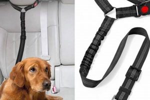 Best Dog Car Safety Seat Belts & Harnesses My Caring Dog – Tips, Stories, and Care Guides for Loving Pet Owners Best Dog Car Safety Seat Belts & Harnesses | My Caring Dog – Tips, Stories, and Care Guides for Loving Pet Owners