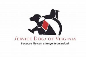 Your Guide to Service Dogs in Virginia My Caring Dog – Tips, Stories, and Care Guides for Loving Pet Owners Your Guide to Service Dogs in Virginia | My Caring Dog – Tips, Stories, and Care Guides for Loving Pet Owners